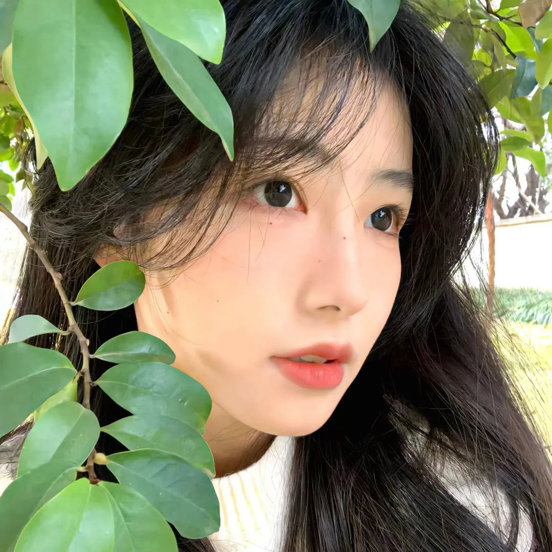 黄色壁纸